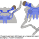Illustration for article titled Incredible fossil discovery reveals a brain thats over half a billion years old